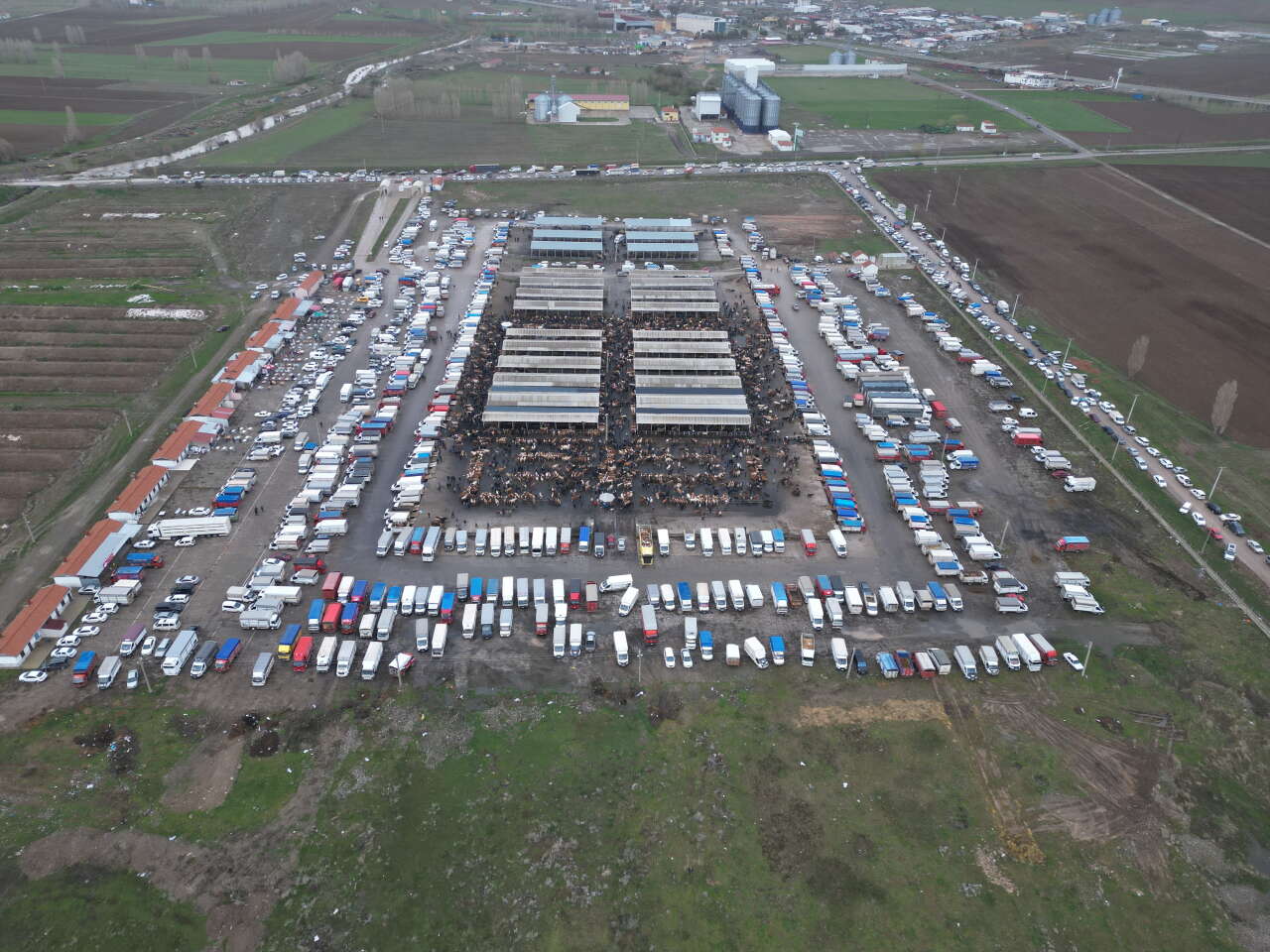 Türkiye’nin en büyük hayvan pazarında kurbanlık hareketliliği başladı 8